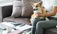 点击来源直接获取大图文件 |Woman playing with her dog at home lovely corgi on sofa in living room.