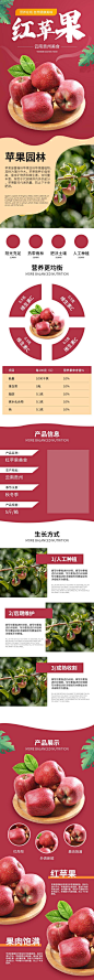 红苹果水果详情页-众图网