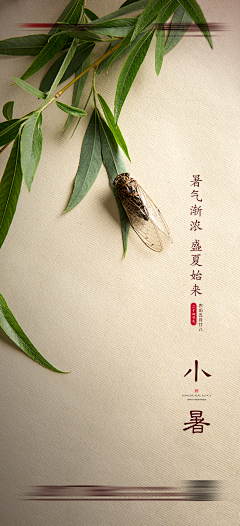 lAvistCf采集到节气