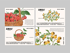 默然调味剂采集到包装