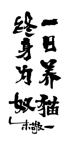 晴奈NA采集到字体