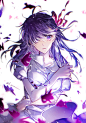 Lost Butterfly  间桐樱