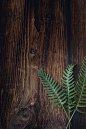 (921) Pinterest