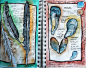Feathers and shells from the beach. Thanks alisa burke - artist sketchbook