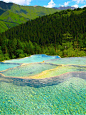 cherjournaldesilmara:

Rock Pools - Canada
