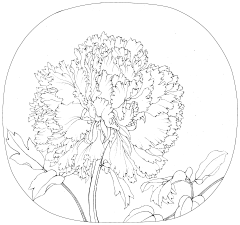 池水糖采集到国画