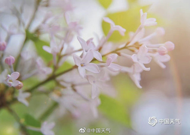 @中国天气 的个人主页 - 微博