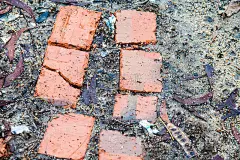 以土壤、岩石和砖块纹理为背景