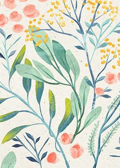 花卉插图图案在漂亮的颜色，艾拉Khron...