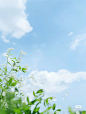 夏季蓝色小清新背景 (7)