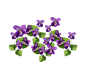 花枝花草免抠PNG图片素材（第一集）