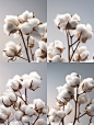 lemoni0_cotton_on_light_gray_background_rising_sun_daylight_min_8ca1eee4-15ab-40a1-b39b-add1654a206f.png (1856×2464)