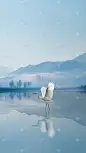 白露系列实景白露通用背景素材