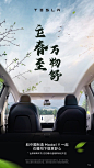 今日立春，春风暖，寒意散
和#中国制造Model Y# 一起在暖阳下惬意舒心吧！ ​​​​