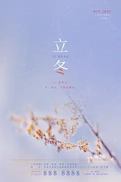 冬季中国传统文化枝丫二十四节气立冬海报