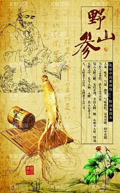 野山果  - 源文件下载【酷图网】山茶籽,野山茶油,山茶果,山茶油,油茶,摄影,生物世界,树木树叶