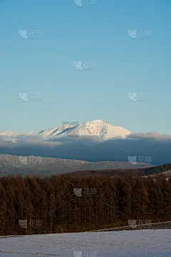 天空,雪,山,森林,落叶松,垂直画幅,留白,云,无人,耕地