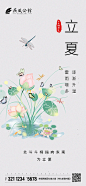 【源文件下载】 海报 立夏 二十四节气 荷花 荷叶 插画