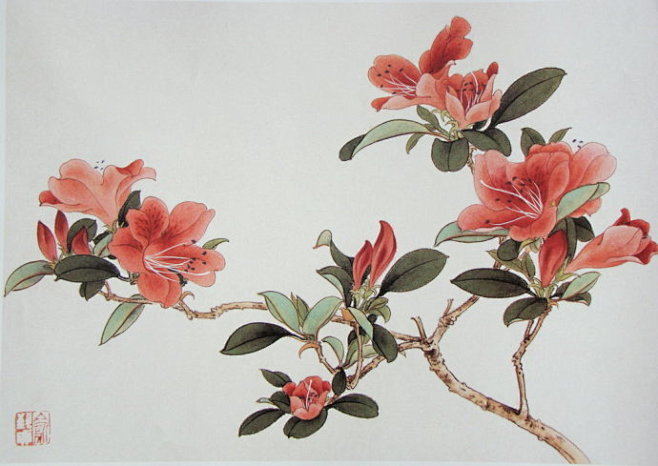 中国工笔画荣宝斋花卉画谱珍藏版