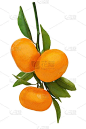 c3826e2100a5f6a87f1f42690ebd8e042083e12217255-TIe5ur_fw1200webp