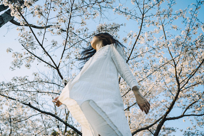 染井吉野 - Justinone - C...