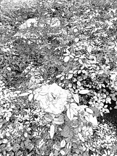 ◉◉【微信公众号：xinwei-1991】整理分享 @辛未设计 ⇦了解更多 。llustrations插画设计图形设计绘画设计插图设计CG插画手绘设计手绘插画品牌插画设计包装插画设计 (1362).jpg