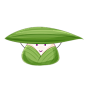 端午节粽子元素png