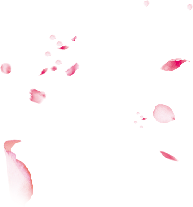 cb5b664c6c1c1b39fae6...