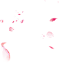 花瓣