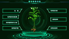 W贝贝采集到植物