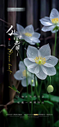 处暑节气海报-源文件