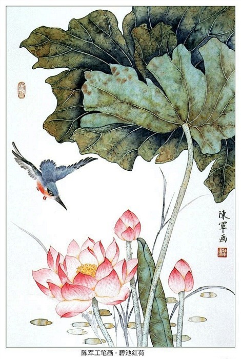 工笔荷花（白色）的画法 《心连若梦》及写...