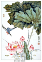 工笔荷花（白色）的画法 《心连若梦》及写意荷花之画法 - 天堂鸟 - 天堂鸟的博客