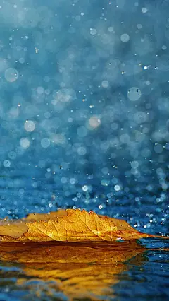 #水#