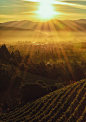 One for the Valley! Napa Valley - Spiritz Magazine|Alcobev magazine : Think Napa Valley and you think of fine wines, lush green trails and much relished culinary moments and an experience of life time. On every wine lover’s must-do list, this wine valley 