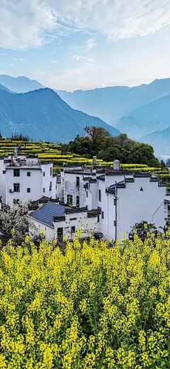 原图壁纸：山村油菜花开，原生态的风景-今日头条