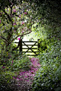 Down the path, over the gate and out into the BIG,BOLD and WONDERFUL WORLD....go on, you know you want to go...
