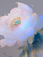 新中式｜荷花 - 小红书