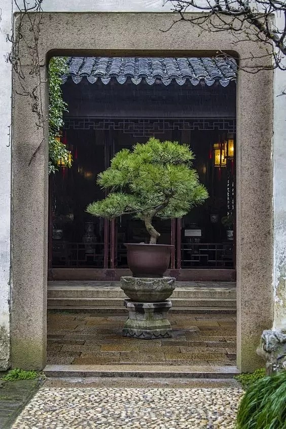 情于中式庭院 - 建筑园林 新中式风格装...