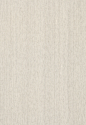 cloth_03 (218)