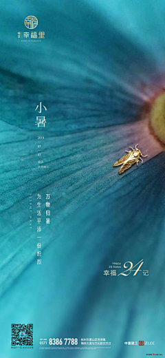 xhang-s采集到绿色背景