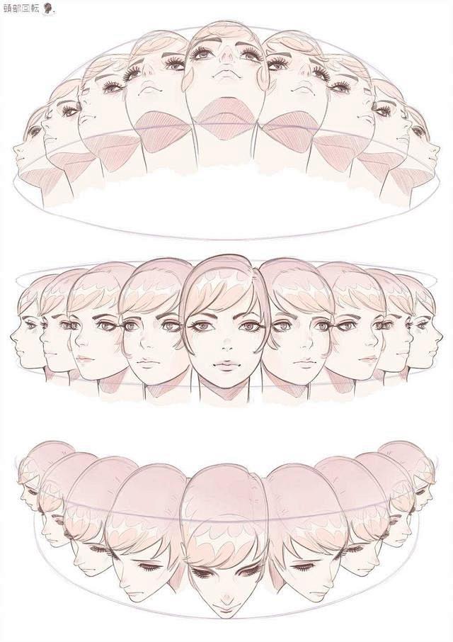 非常实用的多角度透视绘画教程，头部和躯干...