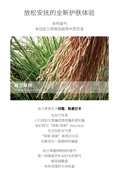 林小五524采集到兰凝诗精粹水