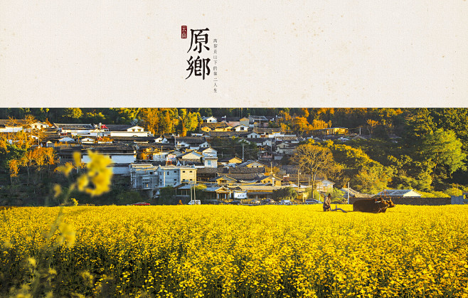 #平面设计 #极简 #muji #无印良...