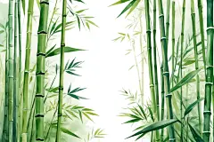清新纯净中国风竹子竹林自然风景插画