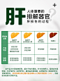 JZLPTC护肝奶蓟草片养肝解酒加班熬夜保肝胶囊进口正品保健品-tmall.hk天猫国际