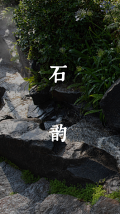 麦子-芒-穗采集到分析图