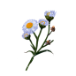 7164e007167dedac4895e272c227e4c0