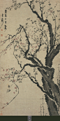 金农《 梅花图》 纳尔逊-艾金斯艺术博物馆藏

金农（1687-1764），清代著名画家。字寿门，号冬心。原籍浙江仁和（今杭州），久居扬州。平生未曾做安。性好游历，“足迹半天下”。他嗜奇好学，工于诗文书法，诗文古奥奇特，并精于鉴别。书法创扁笔书体，兼有楷、隶体势，时称“漆书”。他收藏的金石文字多至千卷。其画造型奇古，善用淡墨干笔作花卉小品。初画竹，继画马，画佛像，画梅更能独创一格为“扬州八怪”之一。代表作有：《东萼吐华图》、《空捍如洒图》、《腊梅初绽图》、《玉蝶清标图》、《铁轩疏花图》、《菩萨妙相图》等 