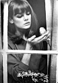 简·诗琳普顿 
Jean Shrimpton 
60年代Icon级模特
Vogue杂志最美丽的封面女郎